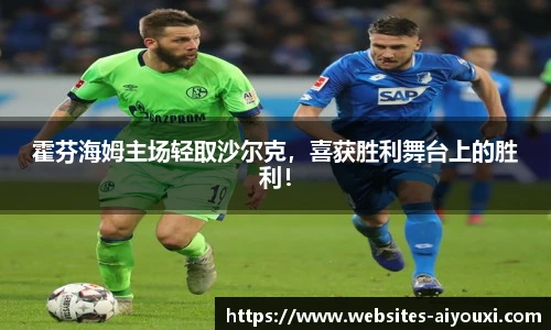 霍芬海姆主场轻取沙尔克，喜获胜利舞台上的胜利！