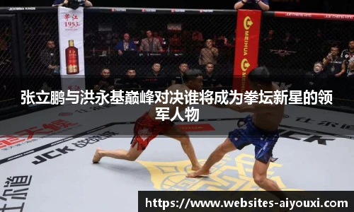 爱游戏AYX